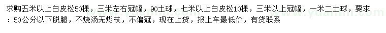 求購5米以上白皮松