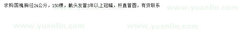 求購胸徑24公分國槐