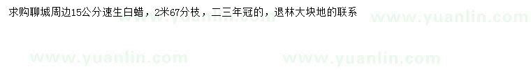求購15公分速生白蠟