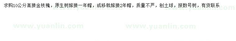 求購10公分高接金枝槐