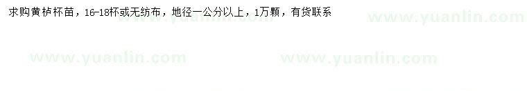 求購地徑1公分以上黃櫨