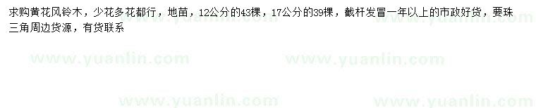 求購(gòu)12、17公分黃花風(fēng)鈴木