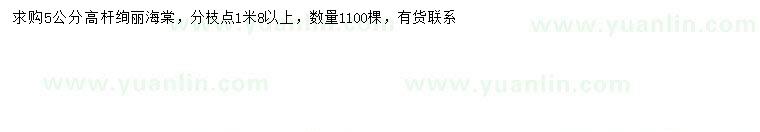 求購(gòu)5公分高桿絢麗海棠