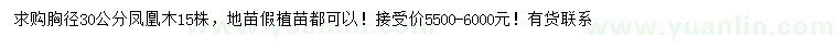 求購胸徑30公分鳳凰木