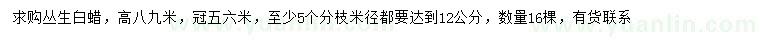 求購(gòu)冠幅5、6米叢生白蠟