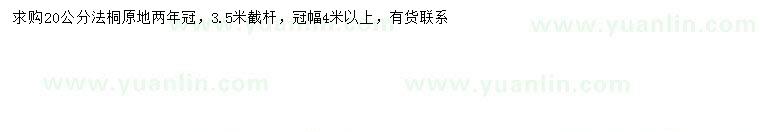 求購20公分法桐