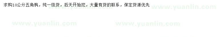 求購10公分五角楓