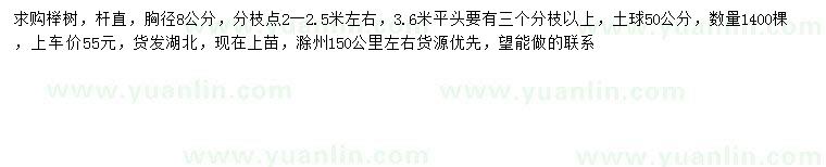求購胸徑8公分櫸樹(shù)