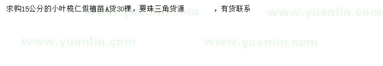 求購15公分小葉欖仁