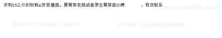 求購15公分秋楓