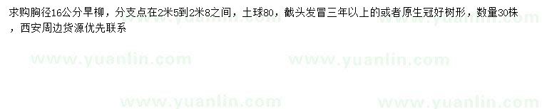 求購胸徑16公分旱柳