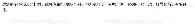 求購胸徑9-10公分樸樹(shù)