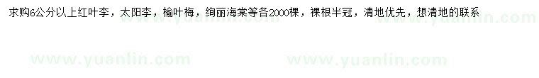 求購紅葉李、太陽(yáng)李、榆葉梅等
