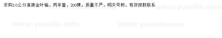求購10公分高接金葉榆