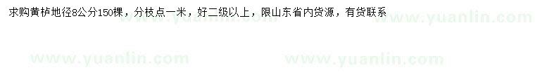 求購地徑8公分黃櫨