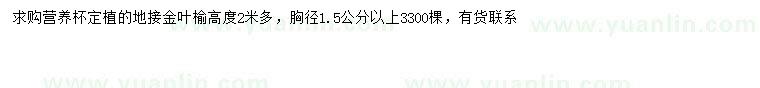 求購高2米以上金葉榆