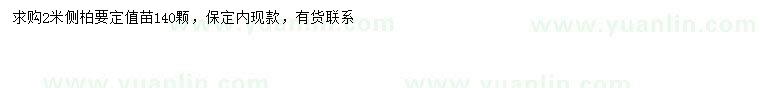 求購2米側柏