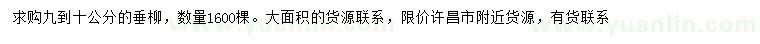 求購9-10公分垂柳