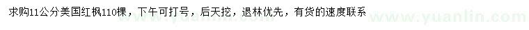 求購11公分美國紅楓