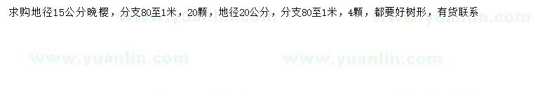 求購地徑15、20公分晚櫻