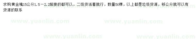求購15公分黃金槐