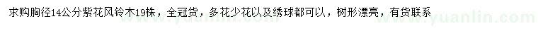 求購胸徑14公分紫花風(fēng)鈴木
