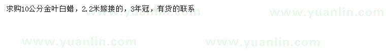 求購10公分金葉白蠟