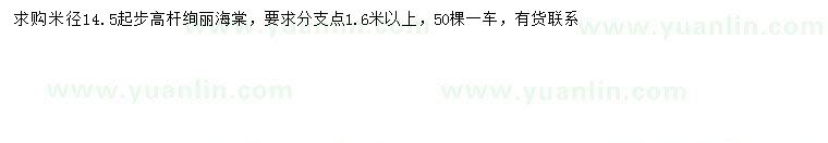 求購米徑14.5公分以上高桿絢麗海棠