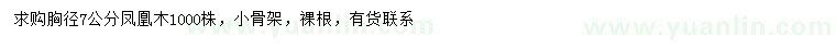 求購胸徑7公分鳳凰木