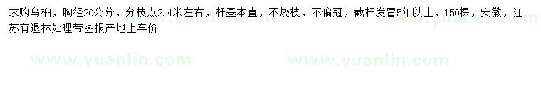 求購(gòu)胸徑20公分烏桕