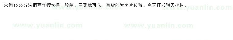 求購13公分法桐