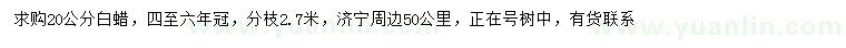 求購20公分白蠟