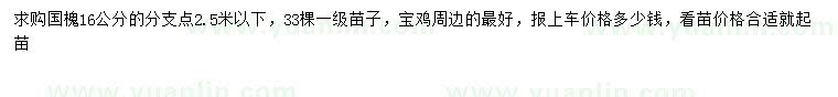 求購16公分國槐