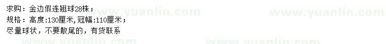 求購高130公分金邊假連翹球