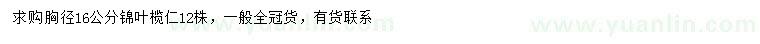求購(gòu)胸徑16公分錦葉欖仁