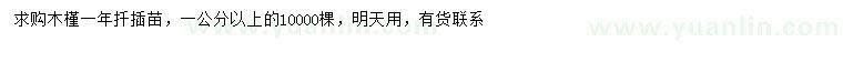 求購1公分以上木槿