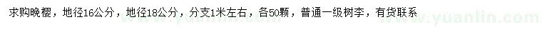 求購地徑16、18公分晚櫻
