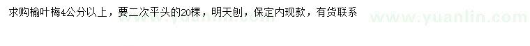求購4公分以上榆葉梅