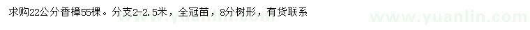 求購22公分香樟