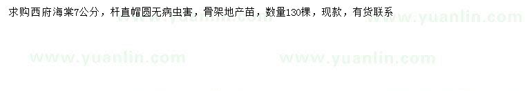 求購7公分西府海棠