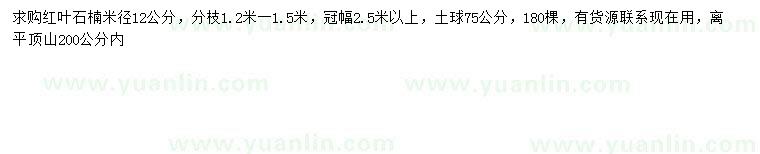 求購米徑12公分紅葉石楠