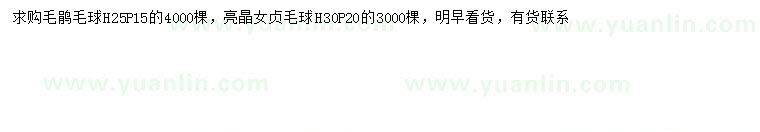 求購冠幅15公分毛鵑球、冠幅20公分亮晶女貞球
