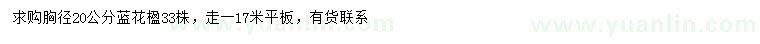 求購(gòu)胸徑20公分藍(lán)花楹