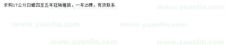 求購(gòu)17公分白蠟