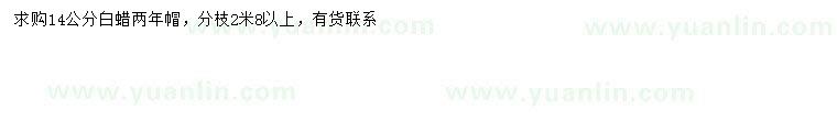 求購(gòu)14公分白蠟
