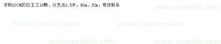 求購20公分白玉蘭