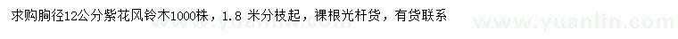 求購胸徑12公分紫花風(fēng)鈴木