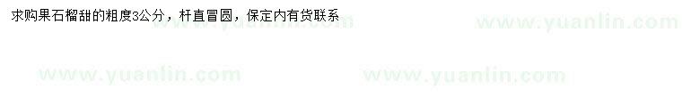 求購(gòu)3公分果石榴