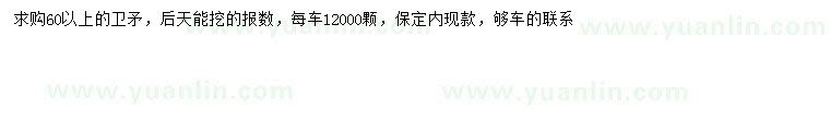 求購(gòu)60公分以上衛(wèi)矛