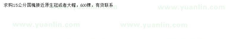 求購(gòu)15公分國(guó)槐